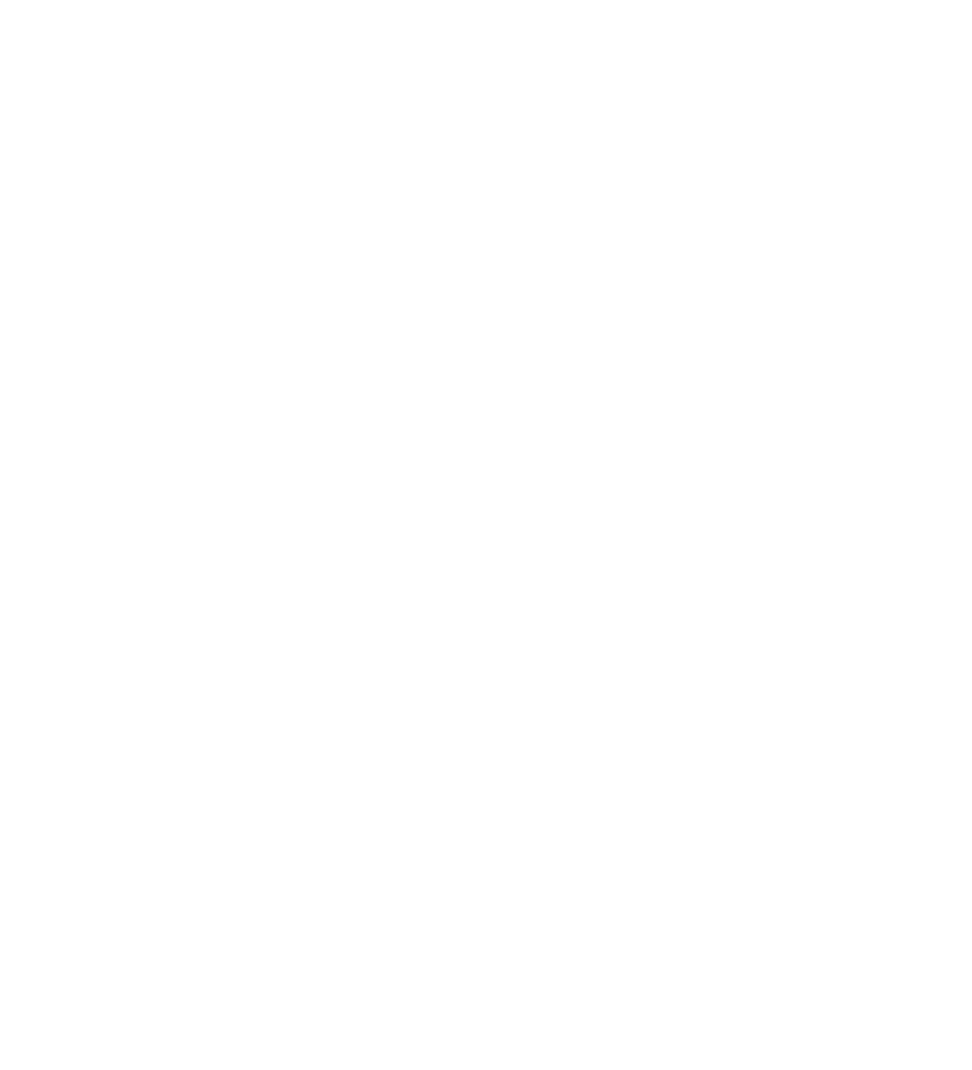 EURL LARGHETTO LUTHERIE